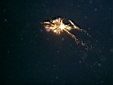 newyear03.jpg