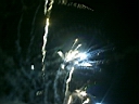 newyear11.jpg