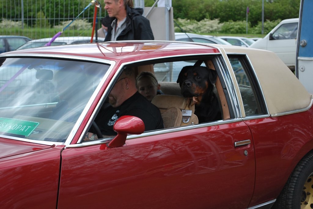 asr_sm2010_0447.jpg