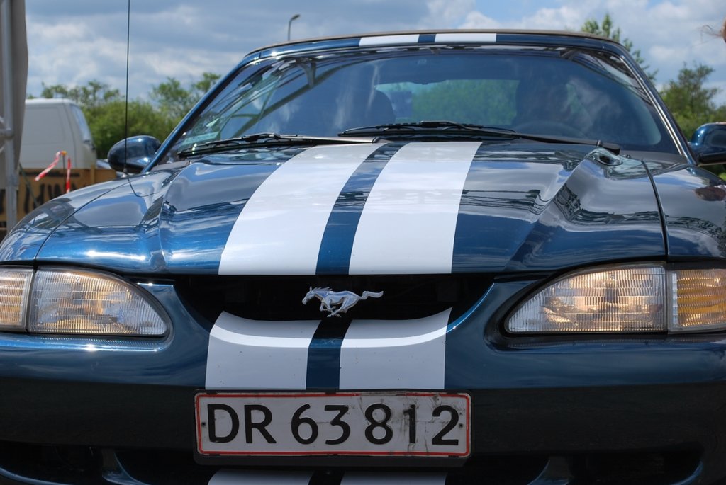 asr_sm2010_0477.jpg