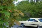 asr_sm2010_0642_small.jpg